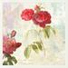 Global Gallery 'Redoute's Roses 2.0 II' by Chestier Framed Graphic Art Metal in Green/Red | 32 H x 32 W x 1.5 D in | Wayfair GCF-465856-3030-245
