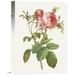 Global Gallery 'Rosa Centrifolia Foliacea' by Pierre Redoute Painting Print on Wrapped Canvas Canvas | 24 H x 18 W x 1.5 D in | Wayfair