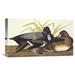 Global Gallery 'Scaup Duck' by John James Audubon Painting Print on Wrapped Canvas Canvas | 12.8 H x 22 W x 1.5 D in | Wayfair GCS-197907-22-142
