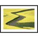 Global Gallery 'Field Mustard Fields & Road, France' Framed Photographic Print Paper in Yellow | 30 H x 42 W x 1.5 D in | Wayfair