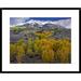 Global Gallery 'Fall Colors At Chair Mountain, Colorado' Framed Photographic Print Paper in Green | 24 H x 30 W x 1.5 D in | Wayfair