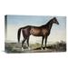 Global Gallery 'Celebrated Horse "Lexington"' by Currier & Ives Painting Print on Wrapped Canvas in Black/Brown/Green | Wayfair GCS-277172-22-142
