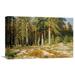 Global Gallery 'The Mast-Tree Grove, Study' by Ivan Ivanovich Shishkin Painting Print on Wrapped Canvas in Brown/Green | Wayfair GCS-265528-22-142