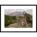 Global Gallery 'Ring-Tailed Lemur' Framed Photographic Print Paper in Brown/Gray/Green | 22 H x 30 W x 1.5 D in | Wayfair DPF-453253-1624-266