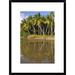 Global Gallery 'Coconut Palm Trees Line Black Sand Beach' Framed Photographic Print Paper in Brown/Green | 24 H x 18 W x 1.5 D in | Wayfair