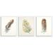 Stupell Industries Watercolor Feather 3 Piece Photographic Print Set Wall Plaque Wood in Brown/White/Yellow | 15 H x 10 W x 0.5 D in | Wayfair