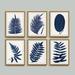 Indigo Fern Leaf Art - Print II, 30" x 24" - Ballard Designs 30" x 24" - Ballard Designs