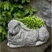 August Grove® Sachs Bunny Cast Stone Statue Planter Concrete in Brown | 7.25 H x 8 W x 12.25 D in | Wayfair 28A5B3680A124AC6B5C6946978BC6E86