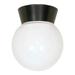 Nuvo Lighting 77153 - 1 Light Bronzotic White Glass Globe Ceiling Light Fixture (1 Light - 8" - Utility, Ceiling Mount - With White Glass Globe)