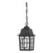 Nuvo Lighting 64933 - 1 Light 11" Textured Black Clear Water Glass Shade Hanging Lantern Light Fixture (BANYON 1 LGT OUTDOOR HANGING)