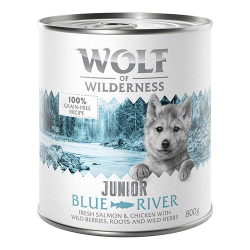 6 x 800g Blue River-Huhn & Lachs Wolf of Wilderness getreidefreies Hundefutter nass