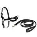 Easy Walk 66-91cm Dog Harness