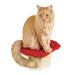 SmartCat 2" Ultimate Post Cat Perch in Red | 2.25 H x 14 W x 12.5 D in | Wayfair 4006