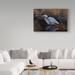 Trademark Fine Art Wilhelm Goebel Making Strides Great Blue Heron - Wrapped Canvas Graphic Art Print Canvas in White | 30 H x 47 W x 2 D in | Wayfair