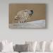 Trademark Fine Art 'Polar Bear' Graphic Art Print on Wrapped Canvas Metal in Brown/Gray | 22 H x 32 W x 2 D in | Wayfair ALI32994-C2232GG