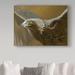 Trademark Fine Art 'Golden Eagle' Graphic Art Print on Wrapped Canvas in Brown | 18 H x 24 W x 2 D in | Wayfair ALI32286-C1824GG