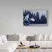 Trademark Fine Art 'Gray Wolf Portrait' Graphic Art Print on Wrapped Canvas in White | 30 H x 47 W x 2 D in | Wayfair ALI32310-C3047GG