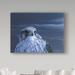 Trademark Fine Art 'Gyrfalcon Portrait' Graphic Art Print on Wrapped Canvas in Blue | 18 H x 24 W x 2 D in | Wayfair ALI32331-C1824GG