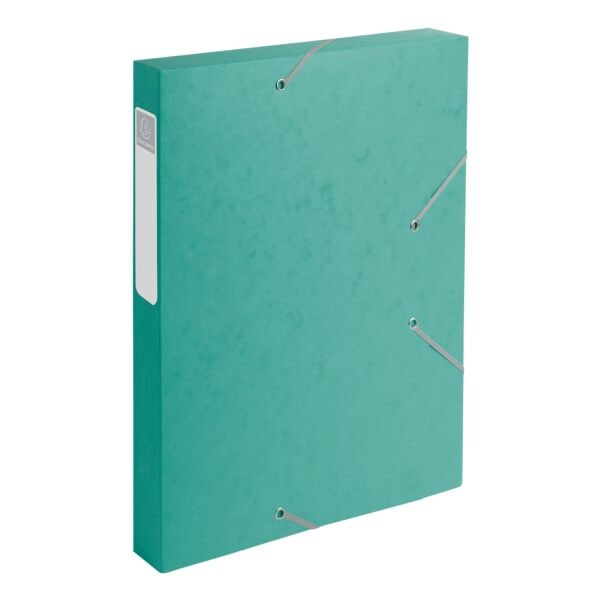 EXACOMPTA Archivbox »Cartobox« - 1 Stück grün, 2.5x32x24 cm Image