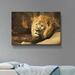 Bungalow Rose Mondale Tribal Lion - Print on Canvas in White | 24 H x 36 W x 2 D in | Wayfair D2D3A49BC09F4434B13D8E4B9E4AC85D