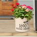 August Grove® Woolery Ceramic Pot Planter Ceramic in Black | 9 H x 9.75 W x 9.75 D in | Wayfair 2013ABC0715946F2A2A48E698CF15CB3