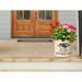 August Grove® Woodrow Ceramic Pot Planter Ceramic in Black | 9 H x 9.75 W x 9.75 D in | Wayfair 1A875F89219A445DBF84383310AA5A4E