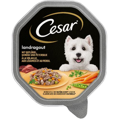 14x150g Landragout mit Geflügel, Gemüse und Petersilie in Sauce Cesar Hundefutter nass