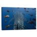 East Urban Home 'Whale Shark Swimming w/ Other Tropical Fish, Wolf Island, Galapagos Islands, Ecuador' Photographic Print, in Blue | Wayfair