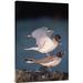 East Urban Home Swallow-Tailed Gull Pair Mating at Dusk, Galapagos Islands, Ecuador - Wrapped Canvas Photograph Print Canvas, in White | Wayfair