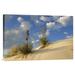 East Urban Home 'Soaptree Yucca Pair Growing in Gypsum Sand, White Sands National Monument, New Mexico' Photographic Print, in Blue/Yellow | Wayfair