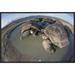 East Urban Home 'Volcan Alcedo Giant Tortoises Wallowing, Alcedo Volcano, Galapagos Islands' Photographic Print Canvas, in Brown | Wayfair