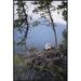 East Urban Home 'Bald Eagle on Nest, Alaska' Photographic Print Canvas, Wood in White | 36 H x 24 W x 1.5 D in | Wayfair EAUB5321 38519474