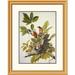 Global Gallery American Robin by John James Audubon Framed Painting Print Metal in Green | 40 H x 31.3 W x 1.5 D in | Wayfair DPF-198042-30-102