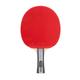 JOOLA Oversize Table Tennis Racket, red/gray, One Size, 59154