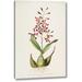Bay Isle Home™ 'Orchid, Epidendrum Macrochilum' by Augusta Withers Giclee Art Print on Wrapped Canvas in White | 16 H x 11 W x 1.5 D in | Wayfair