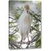 World Menagerie 'FL Cattle egret in breeding plumage on limb' by Arthur Morris Giclee Art Print on Wrapped Canvas in Green/White | Wayfair