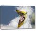 Highland Dunes 'FL, St Augustine Great egret chick yawning' by Arthur Morris Giclee Art Print on Wrapped Canvas in Blue/White | Wayfair