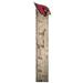 Arizona Cardinals 6" x 36" Growth Chart Sign