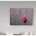 Trademark Fine Art 'Urban Ladybug' Photographic Print on Wrapped Canvas in Red | 14 H x 19 W x 2 D in | Wayfair 1X05620-C1419GG