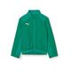 PUMA Kinder LIGA Sideline Jacket Jacke, Pepper Green White, 176 EU