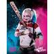 Suicide Squad "Harley Quinn" Canvas Print, Cotton, Multi-Colour, 3.20 x 60.00 x 80.00 cm