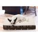 FurHaven Deluxe Paw Decor Dog Pillow/Classic Polyester/Memory Foam | 3 H x 20 W x 15 D in | Wayfair 32203321-M