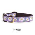 Up Country DAI-C-XL Daisy Hundehalsband, Breit 1 inch, XL