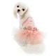 Puppy Angel Kleid Swan Tutu Rosa