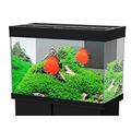 CIANO Aquarium Emotions Pro Aquarien schwarz 80