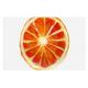Kess eigene Theresia giolzetti "Grapefruit" weiß orange Hund Tischset, 61 x 38,1 cm