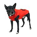 Canada Pooch Regenmantel für Hunde, Größe 10, rot
