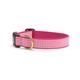 Up Country PKG-C-L Pink Gingham Hundehalsband, Breit 1 inch, L