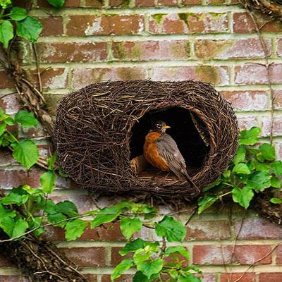 Songbird Nester - 1 per package