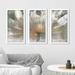 Winston Porter Lily Light by Mike Calascibetta - 3 Piece Picture Frame Multi-Piece Image Print /Acrylic in Gray/Green | Wayfair